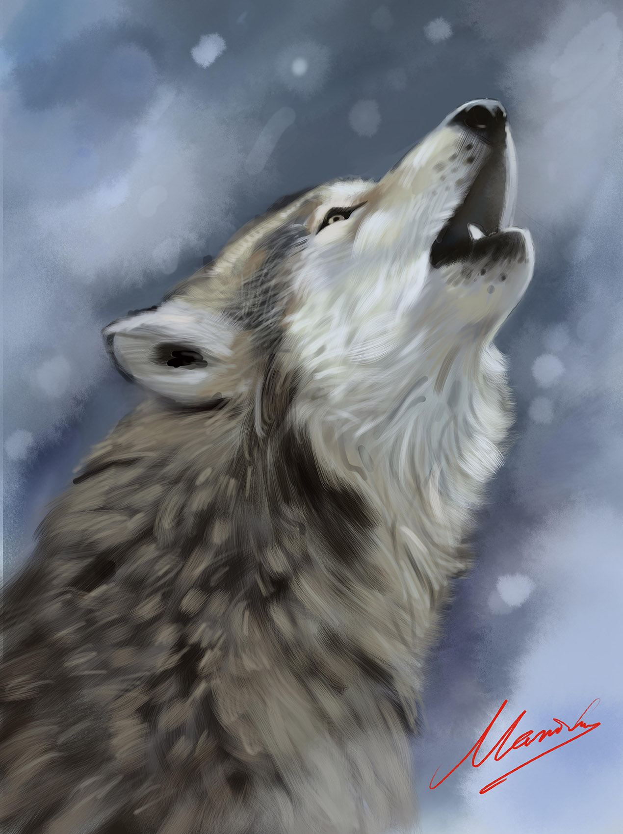 Wolf